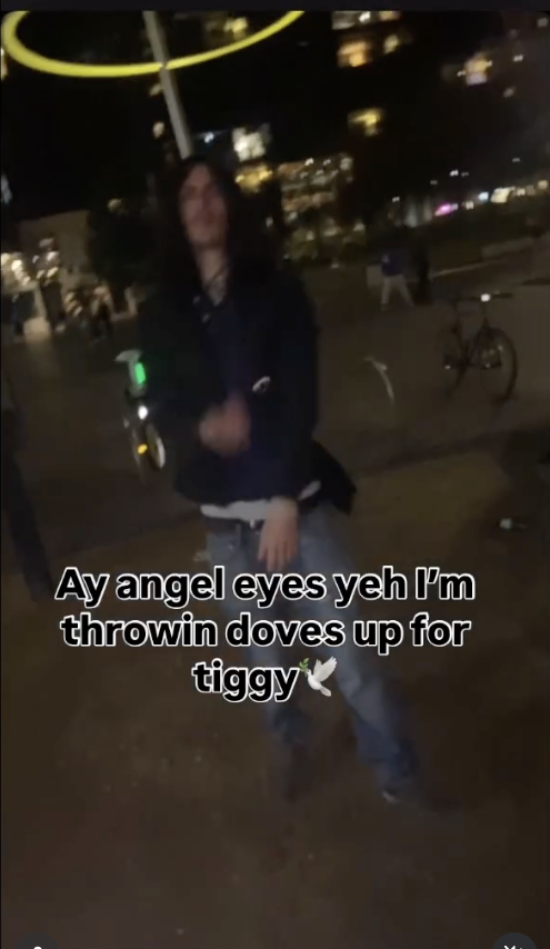 salisgsav and sickofgus